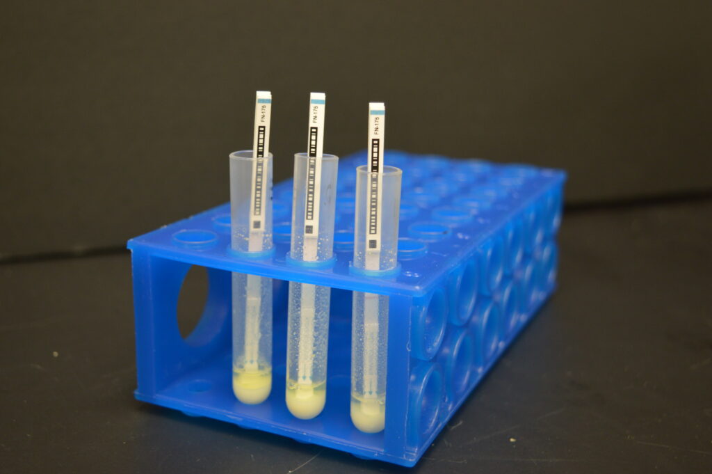 Quick scan test tubes with test strips.