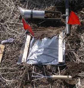 Modified solar bait trap in the field.