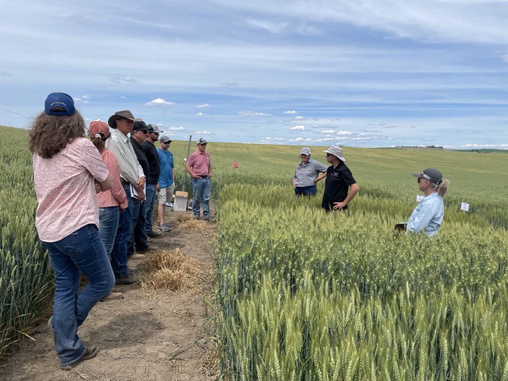 Attendees of the Reardan crop tour listen to Dr. Arron Carter.