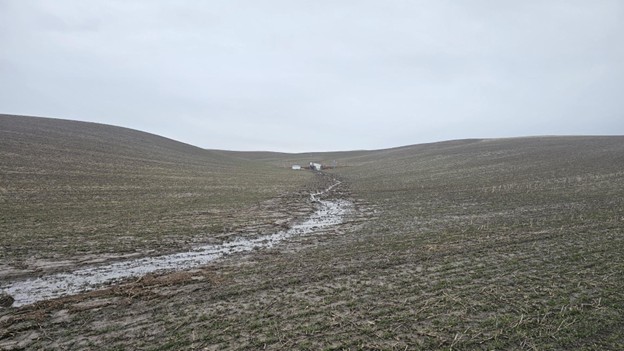 Reduced tillage field showing concentrated flow and gully erosion. 