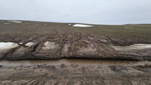 Field under conventional tillage showing surface runoff transporting topsoil and nutrients to edge of field road ditch.  