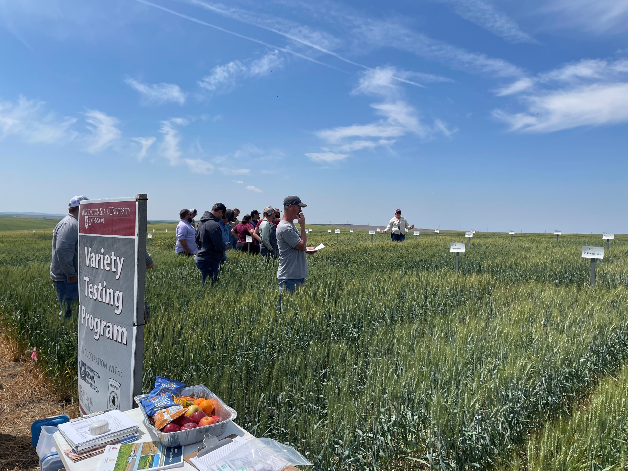 Field tour attendees standing in a trial field.