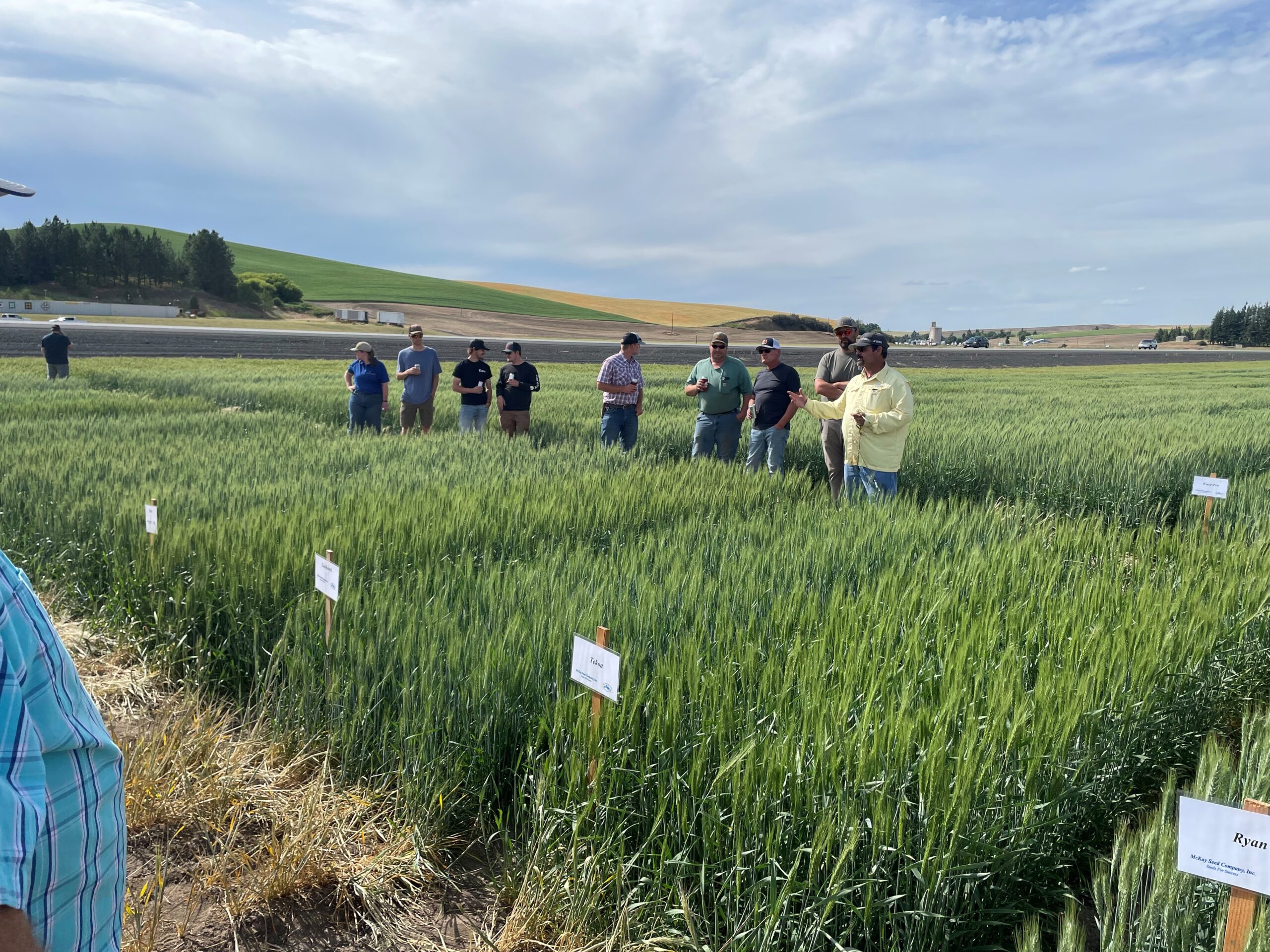 Field tour attendees standing in a trial field.