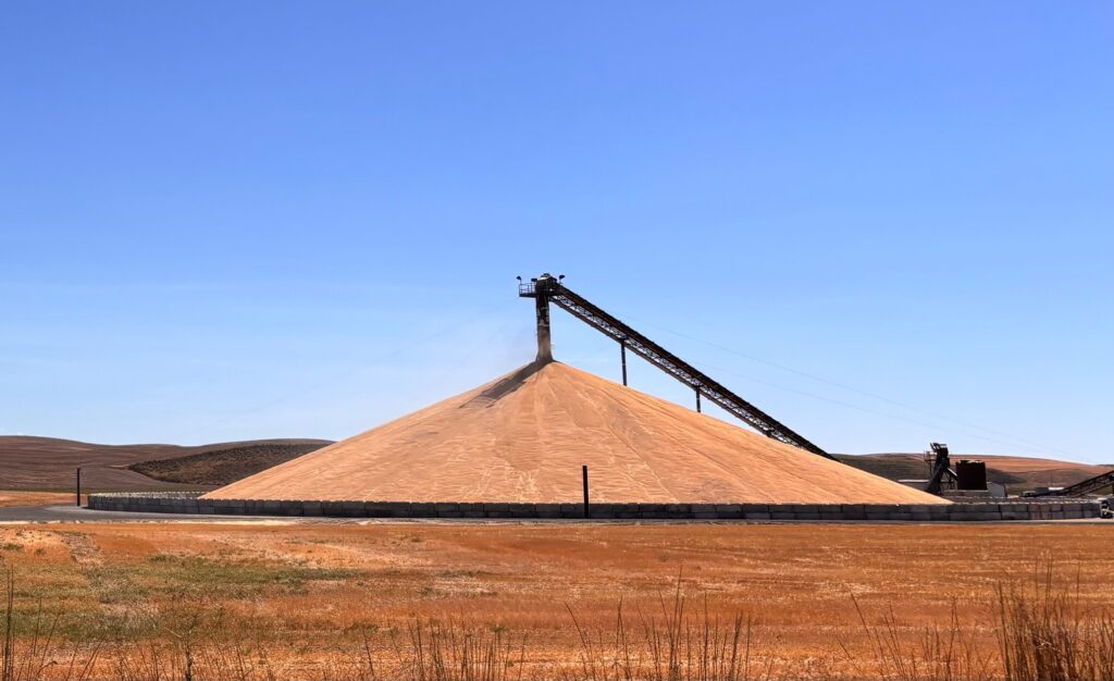Grain pile at elevator.