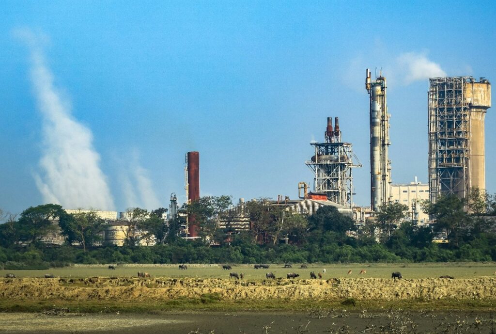 An ammonia plant with steam or smoke rising from it with a field of cows in the foreground.