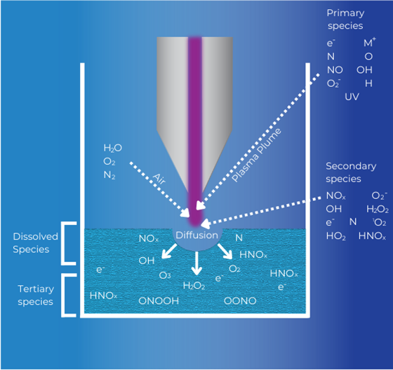 Schematic picture of the chemical species that can be produced in plasma-activated water. Air, containing water vapor, oxygen, and dinitrogen, encounter the plasma. Primary species produced in the plasma plume include free electrons, positively charged molecules, free nitrogen, oxygen, and hydrogen, NO, OH, and O2. Secondary species in the plasma plume also include NOX, HNOx, and peroxide. These primary and secondary species diffuse into water and dissolve. Tertiary dissolved species also include ONOOH and OONO.