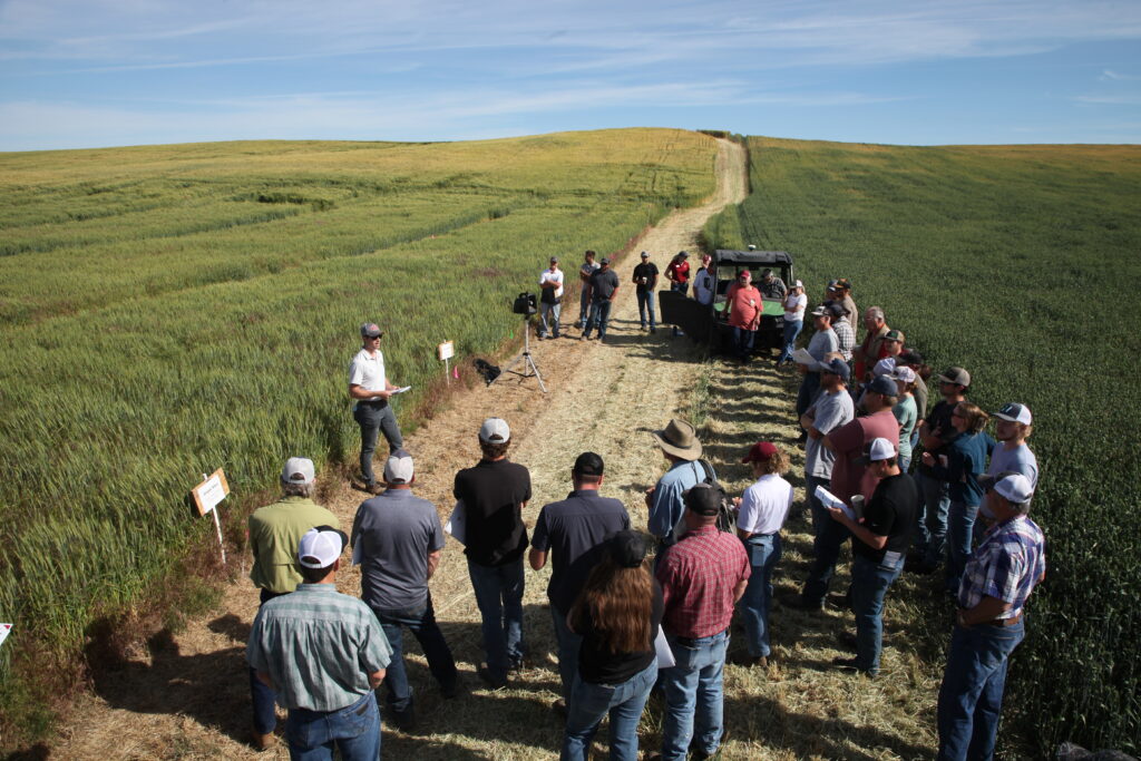 Field day attendees surrounding Morgan Menaker as he discusses wheat research at the Wike Field Day.