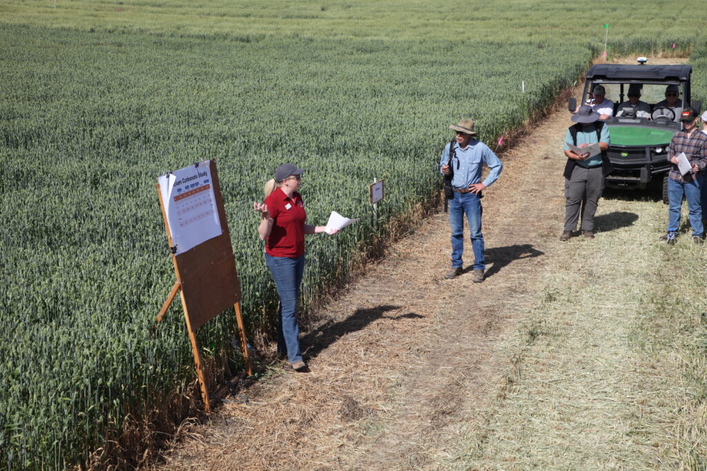 Dr. Rachel Wieme presenting at the Wilke Field Day.