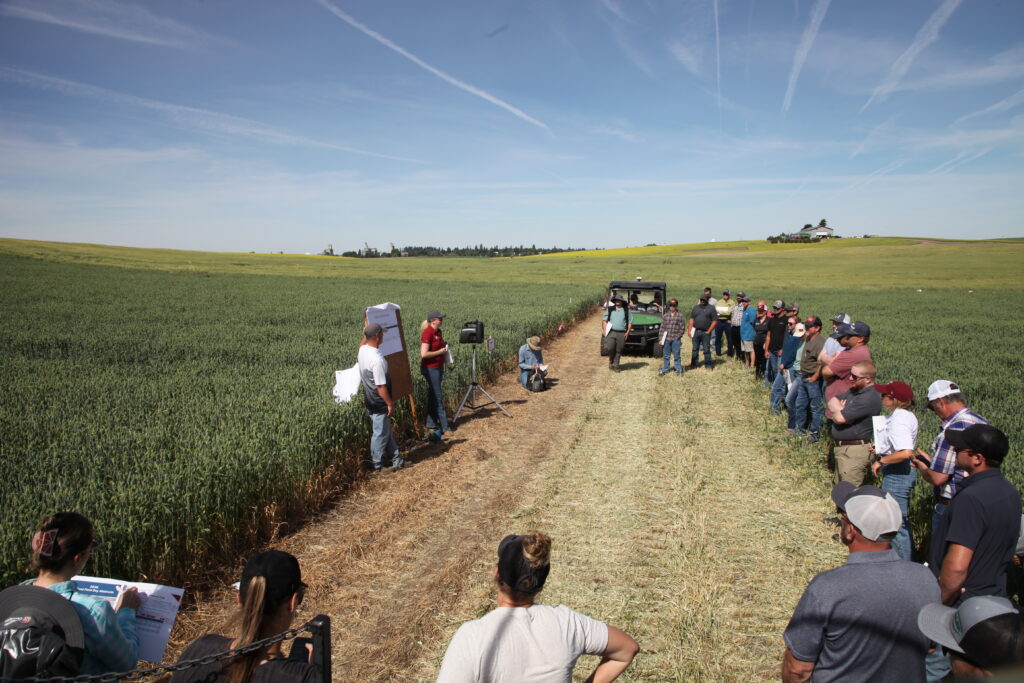 Dr. Rachel Wieme and Aaron Esser presenting in front of wheat trial plots at the Wilke Field Day.