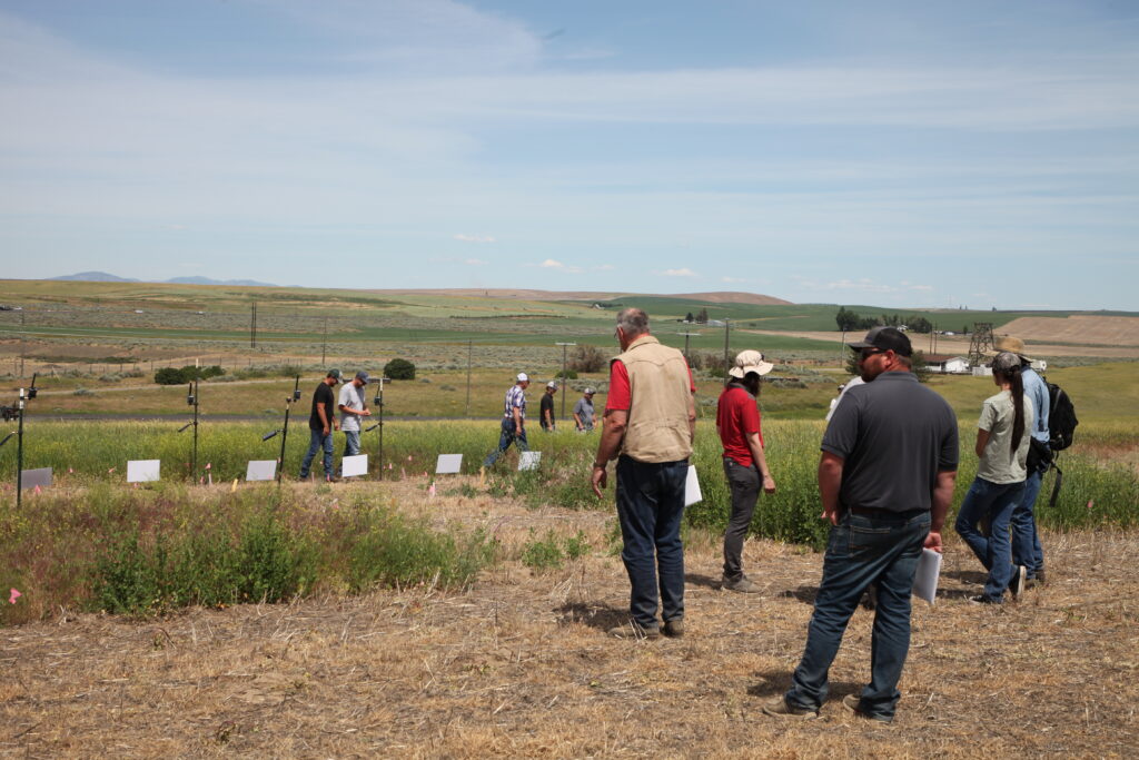 Field day attendees exploring crop trials.