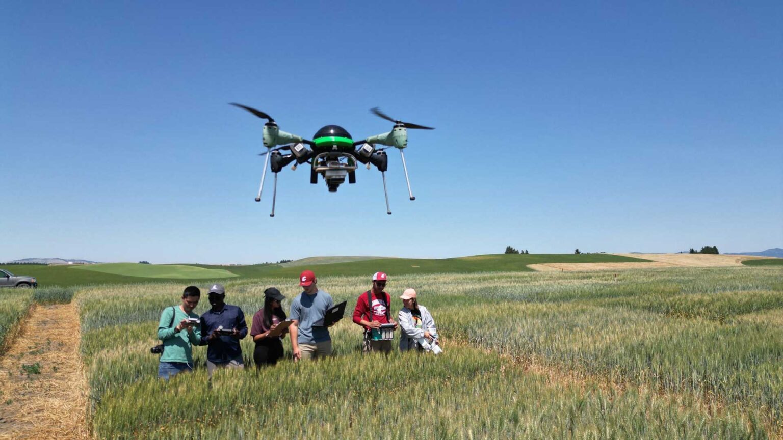 Agricultural Automation Engineering | Biological Systems Engineering ...