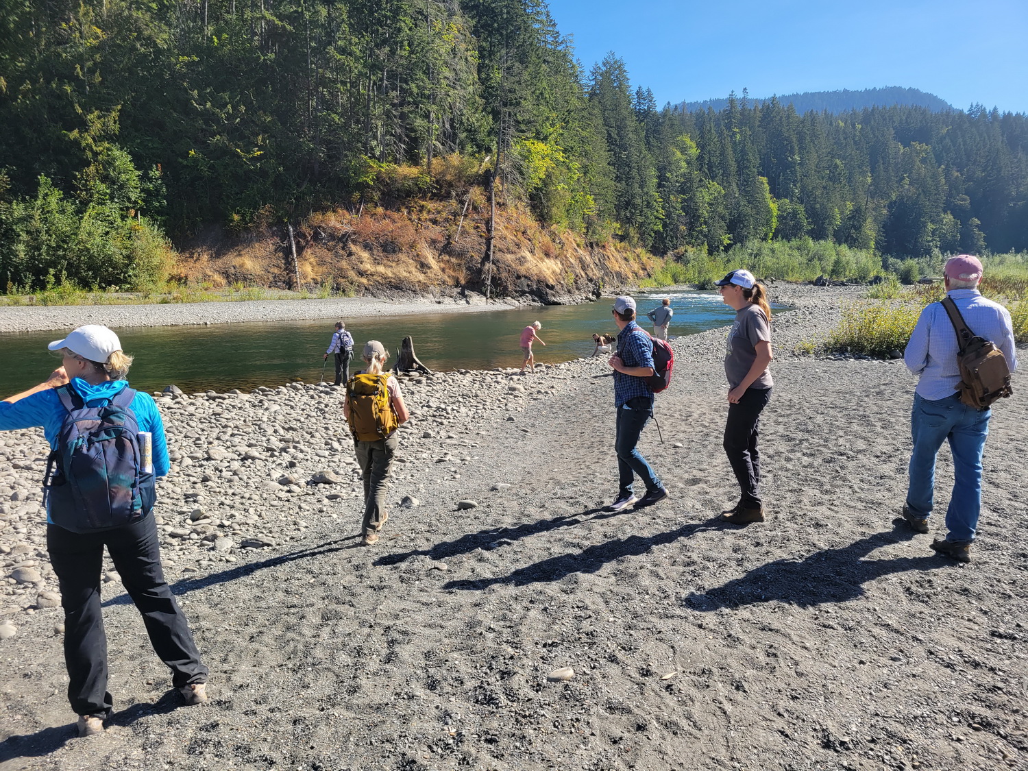 Group of Washington State Naturalists facing away from the camera on the banks of the Elwha River with a forest in the background.