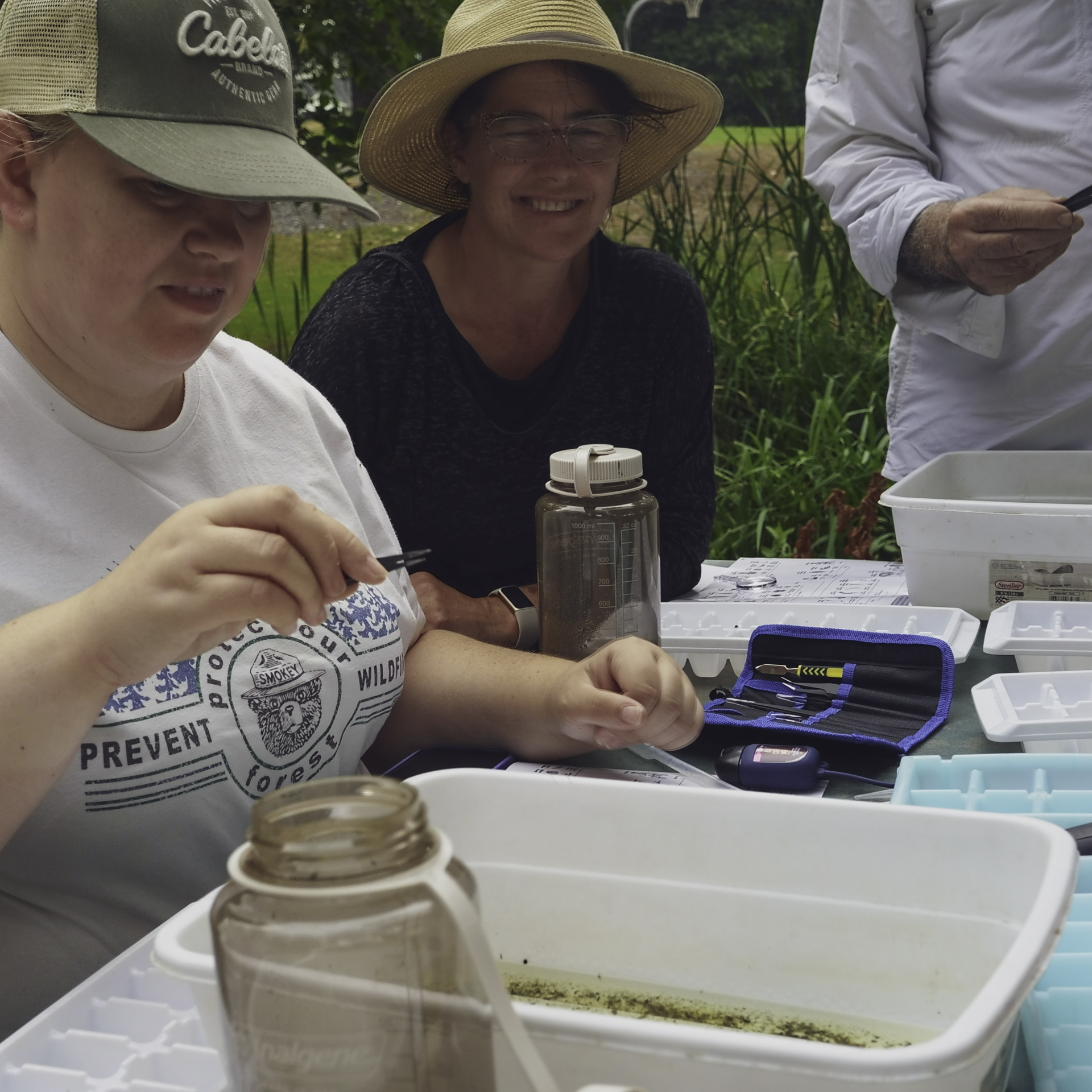 Group of people pictured from behind walking through the sunny woods