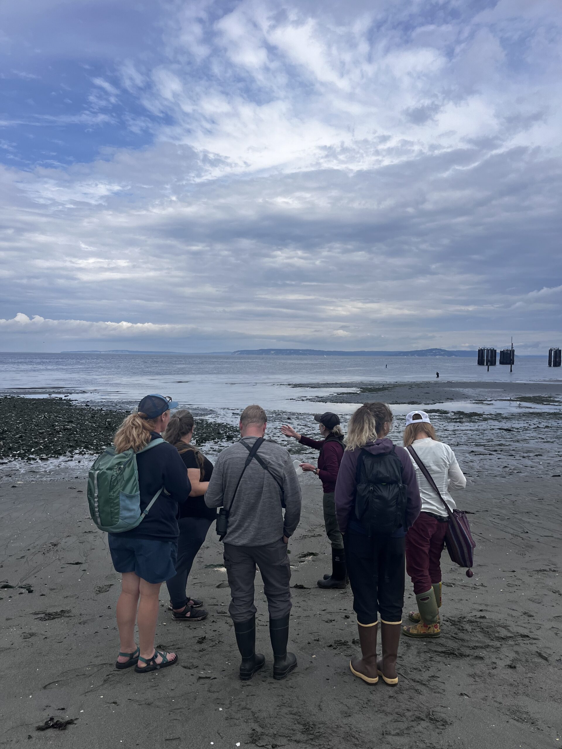 A group of Washington State Naturalist apprentices on the beach at low tide.