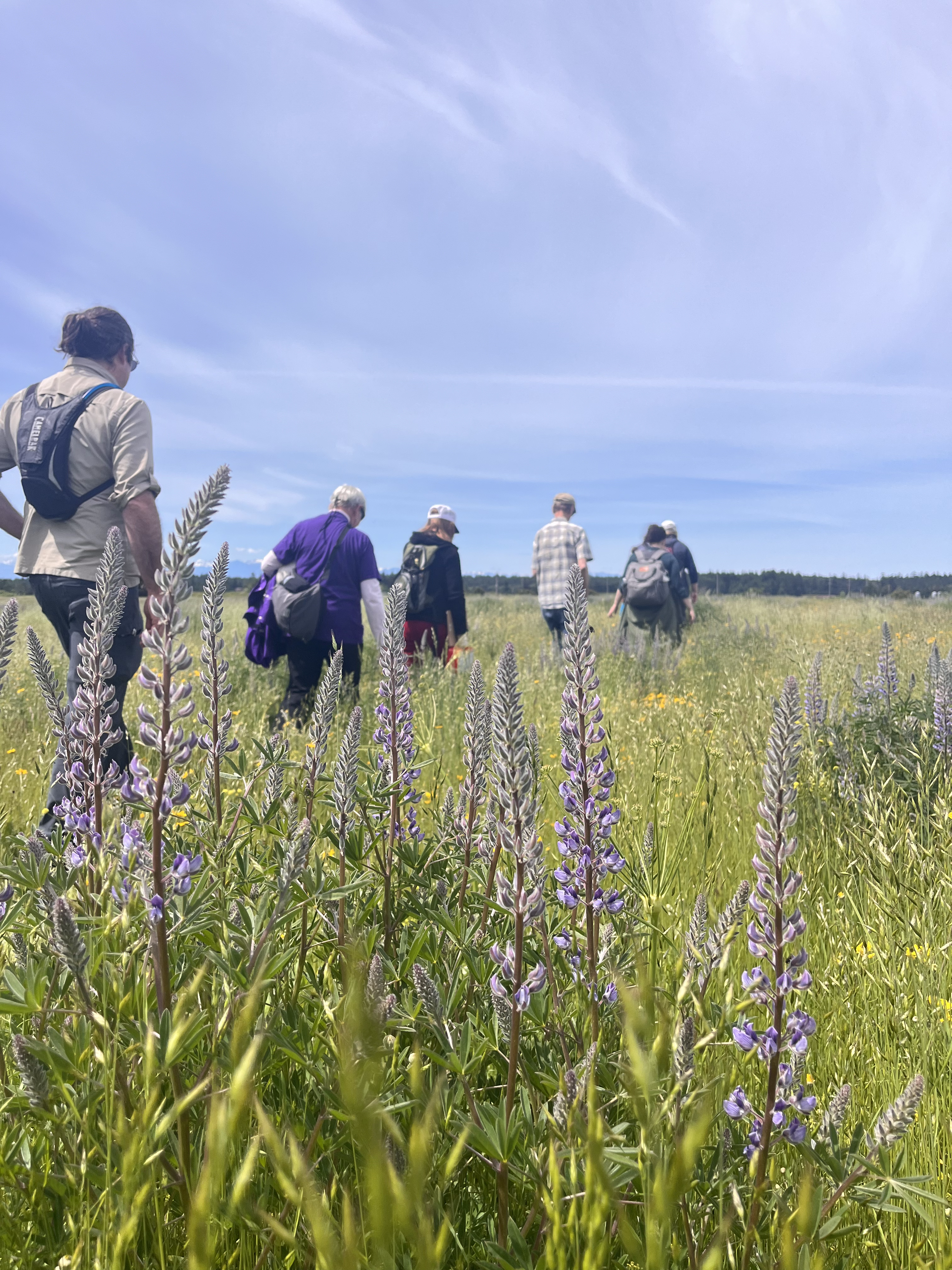 Panoramic shot of a group of people on a gray beach