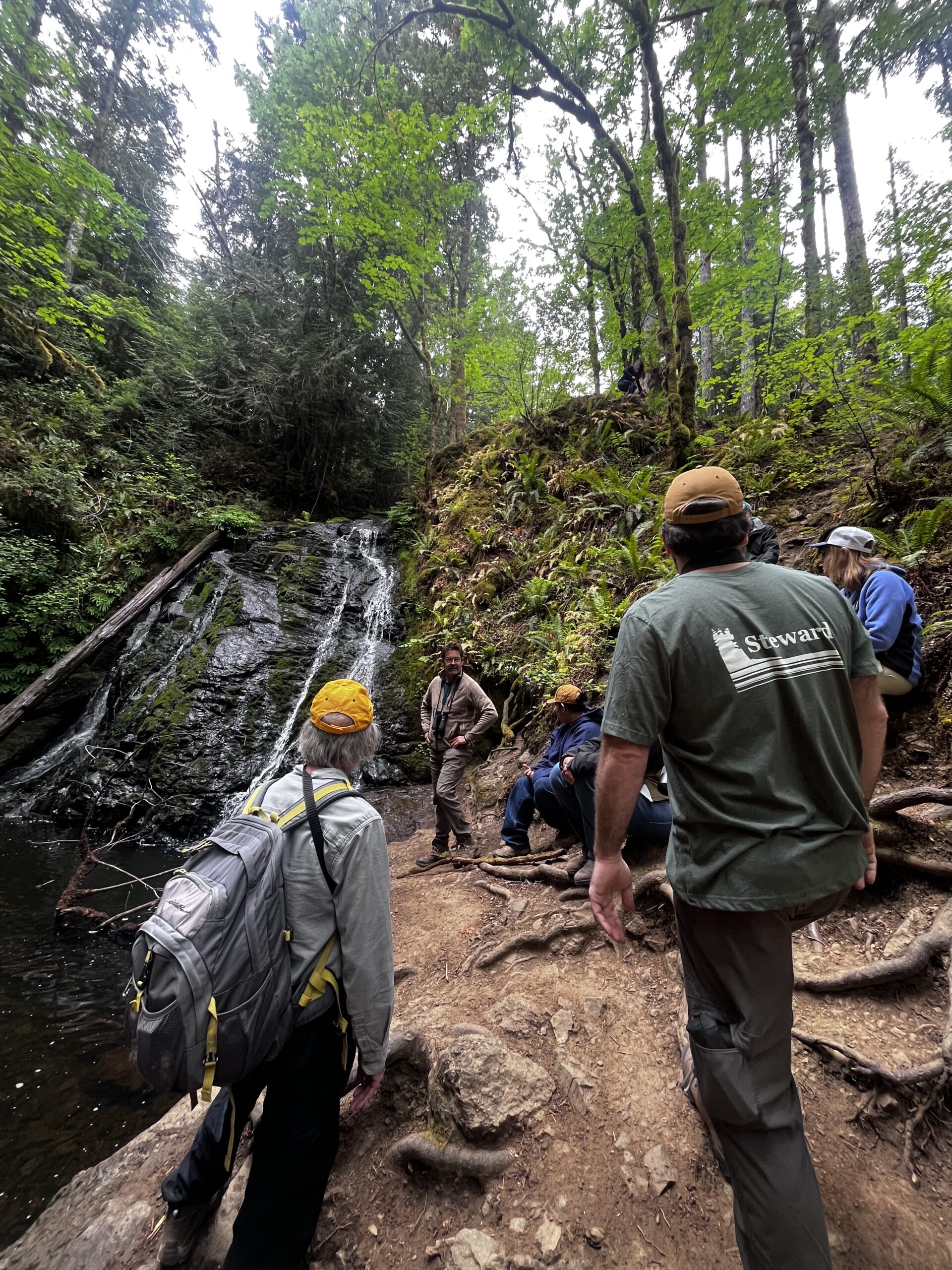 A group of Washington State Naturalists facing away from the camera, looking at a waterfall in the background.