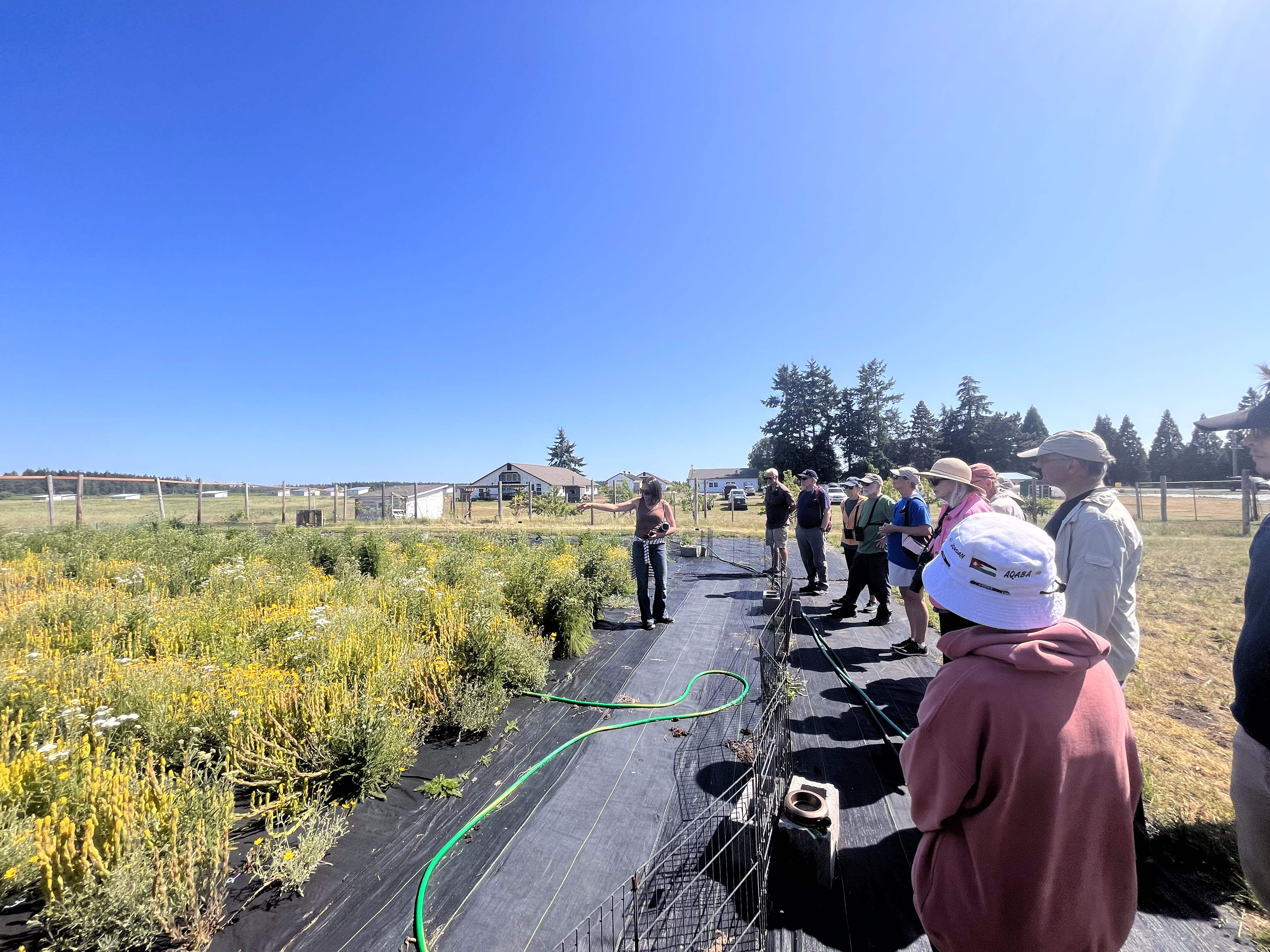 A group of naturalists listens to a Pacific Rim Institute educator while standing in a native plant nursery