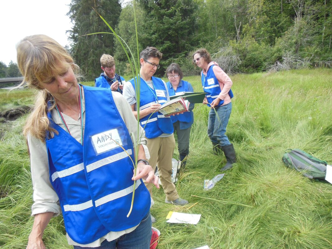 Group of people in blue vests in a salt water marsh