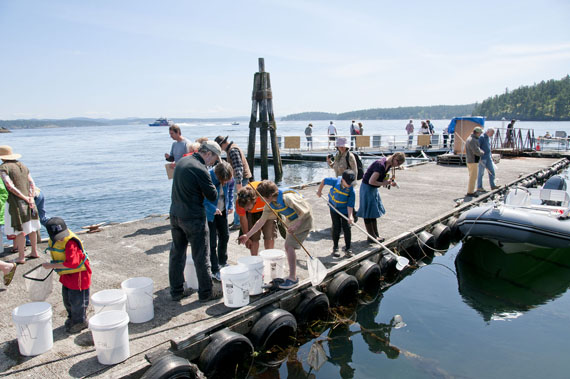 Group of children and adults with buckets on a dock in Friday Harbour, Washington