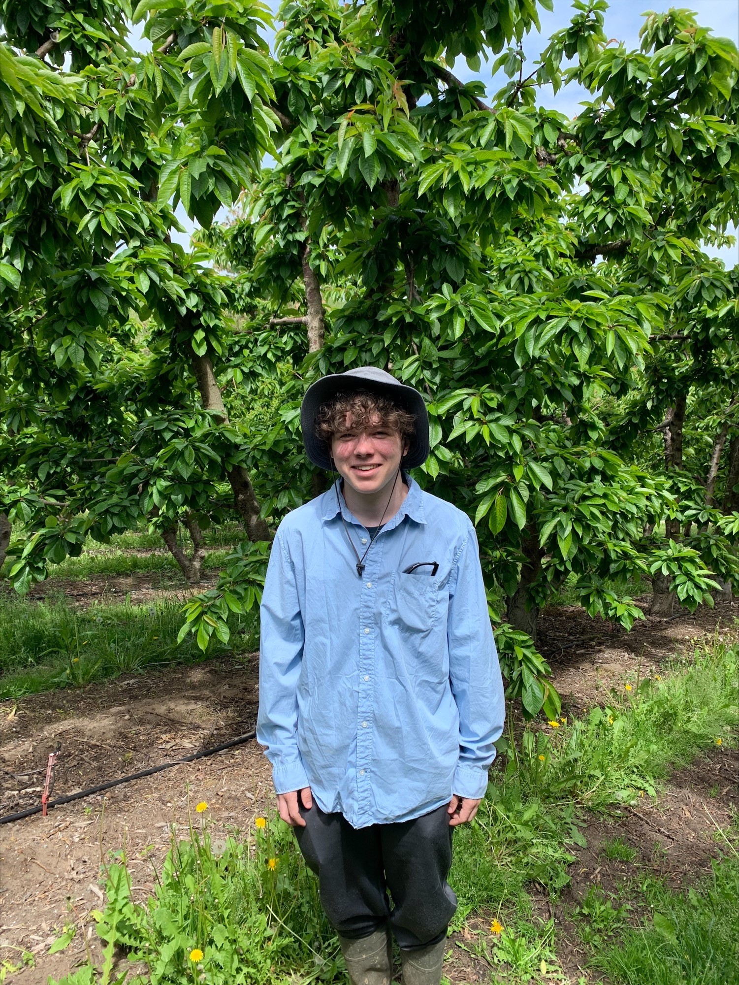 New timeslip for Beers Lab TFREC Admin Washington State University