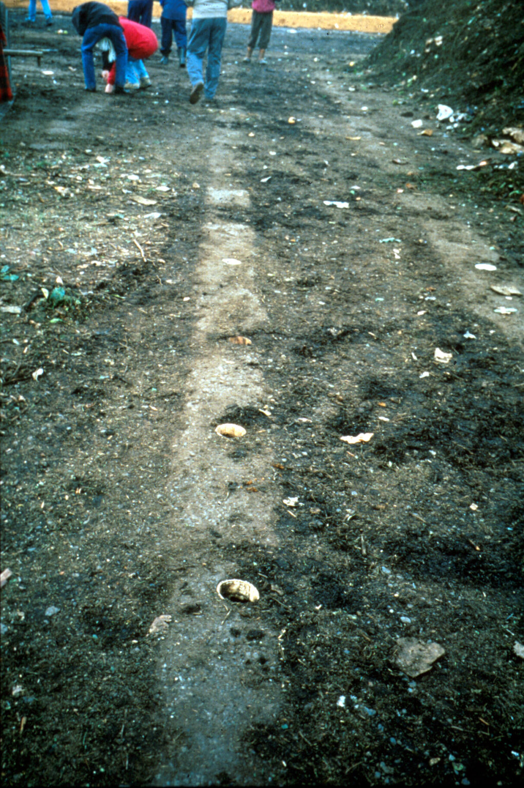 Compost Systems | Organic Agriculture | Washington State University