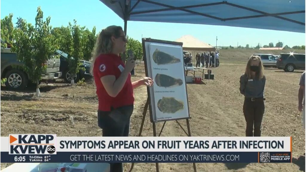 Female researcher presenting at a field day on television