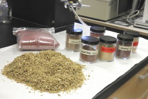 Pomace comes from a variety of fruits and vegetables used in making juices. The pomace is first dried, shown piled at left. Then the researchers grind it into fine powder, in the jars, for their experiments.