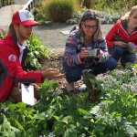 Eli Bloom trains volunteers-crop776px