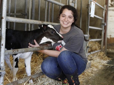 CUDS president and WSU senior Lindsey Richmond takes care of new calves at the Knott Dairy Center.