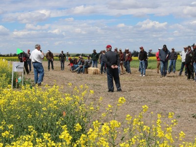 Representatives from several canola seed companies as well as WSU’s Aaron Esser, Dennis Roe, and Karen Sowers presented information about spring varieties during the WSU Wilke Farm Field Day June 23.
