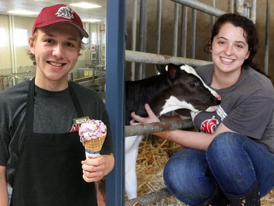Left, Ferdinand's Ice Cream Shoppe employee Matt Clark holds a cone of Huckleberry Ripple. Right, Lindsey Richmond, CUDS member and Animal Sciences student, works at the WSU Knott Dairy Farm.