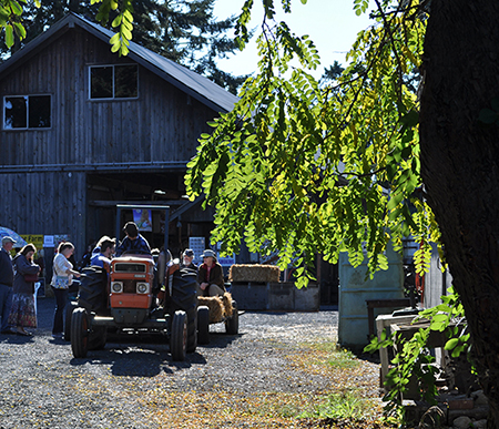Visitors explore Lazy J Farm in Port Angeles, Wash., during a farm tour event held by WSU Clallam County Extension in partnership with the North Olympic Land Trust. The trust has honored Clallam Extension with its 2017 Farmer of the Year Award (Photo by Leslie Bergman)