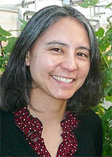 Head shot of Wendy Hoashi-Erhardt