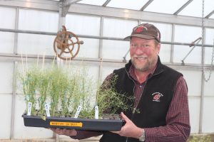 Michael Neff holds a tray of experimental cress plants