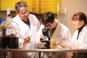 Three scientists looking through a microscope.