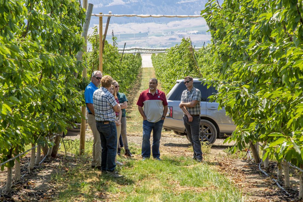 A group of people talking in an orchard