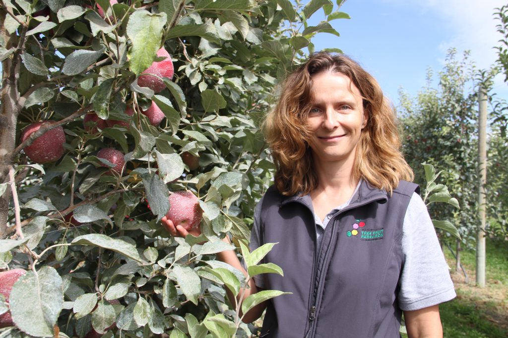 Hanrahan stands next to an apple tree