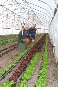 Jaeckel, holding a shovel, and Finch, behind him, kneel along a bed of lettuce in a hoophouse.
