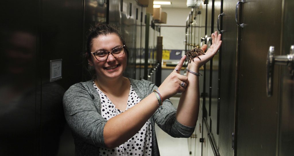 Amid a corridor of metal cases, Hayes holds a large, hairy spider in one hand, extending a finger to touch the spider's extended leg.