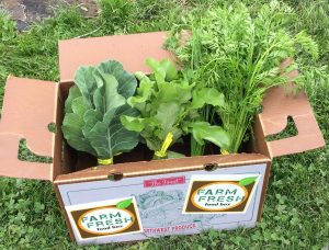 View of leafy greens inside a Farm Fresh Food Box.