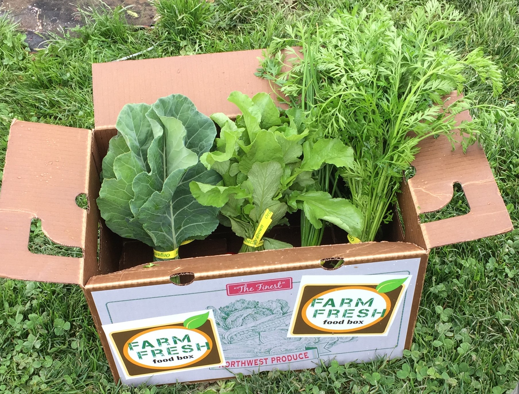 With farm boxes, Extension connects rural families, farms and retailers ...