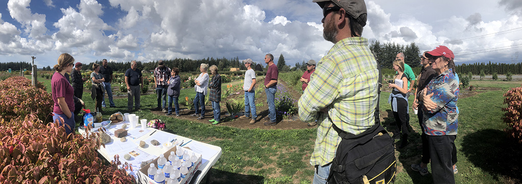 A line of growers and researchers take in a talk at an outdoor field day.