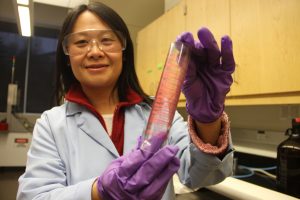 Lab-coated, purple-gloved researcher, holding up a cylindrical spool of shiny, magenta threads.