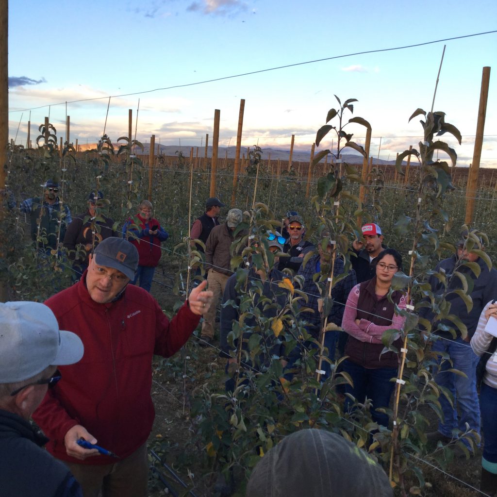 Musacchi, left, standing, speaks and gestures surrounded by listeners, in an orchard.