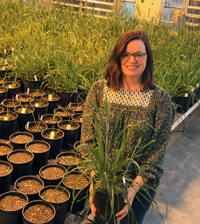 Sanguinet, holding a plant next to a row of greenhouse plants.