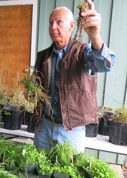 Fransen holding up plant roots in a room full of potted plants.