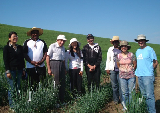 Group of scientists stand in a line in a sunny wheat field.