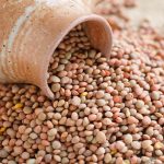 Brown and white lentils spill from a container.