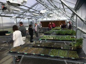 Plants grow on trays as people walk around inside the building with glass walls and roof.