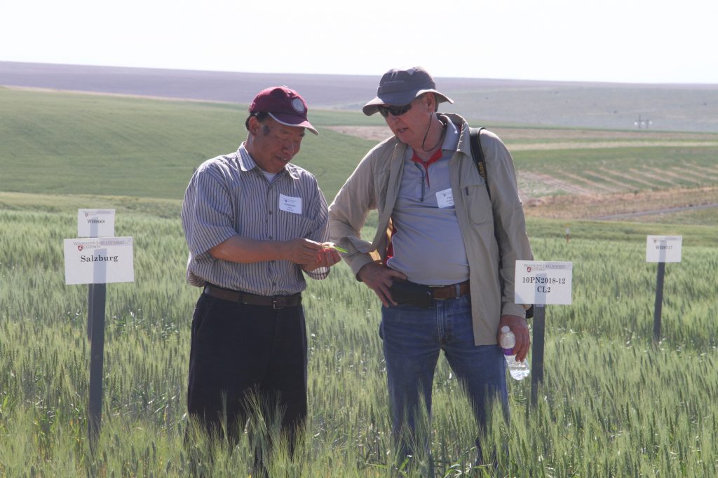 Chen, standing, holding wheat plant as Murray stands and looks on.